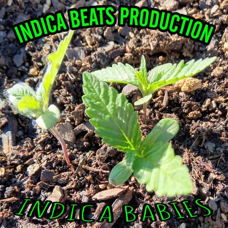 Good Night For The Plants ft. Anthony Tone cover art