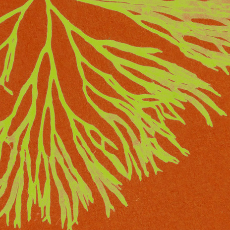 Hippy ft. PJ Company cover art