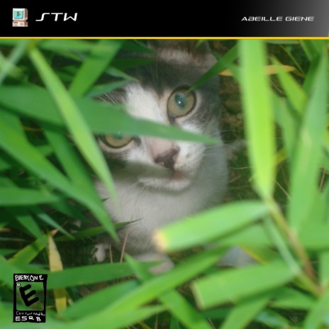 Bagong tasa ft. Pboy $weggy cover art