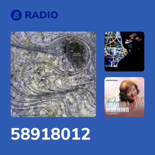 58918012 Radio