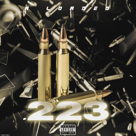 .223 cover art