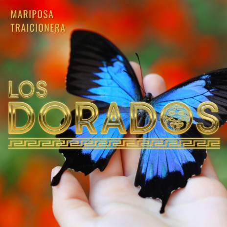 Mariposa Traicionera (En Vivo) cover art