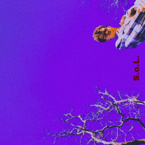 S.O.L. cover art