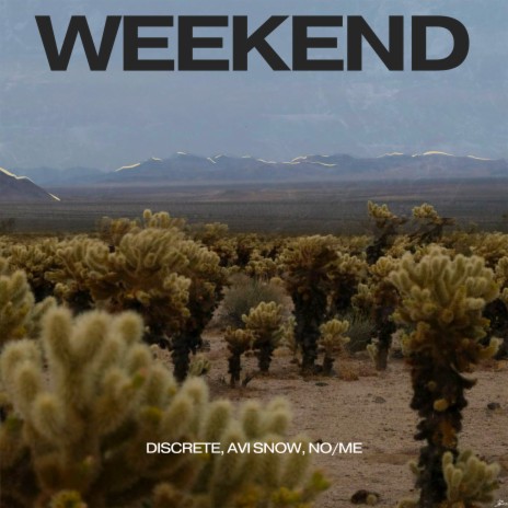 Weekend ft. Avi Snow & No/Me cover art