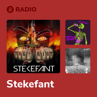 Stekefant Radio