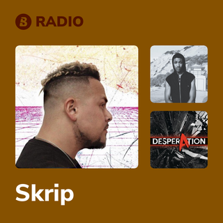 Skrip Radio