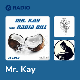 Mr. Kay Radio