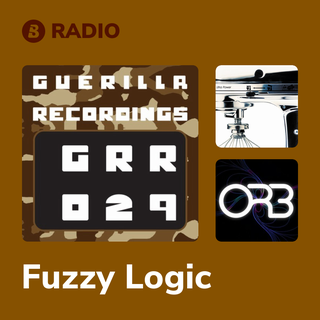 Fuzzy Logic Radio
