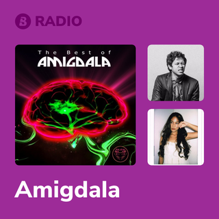 Amigdala Radio