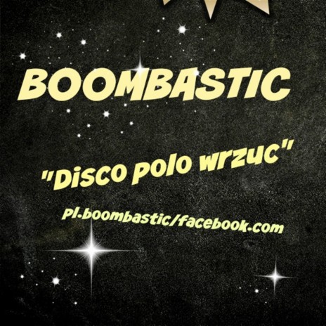 Disco polo wrzuć (Radio Edit) cover art