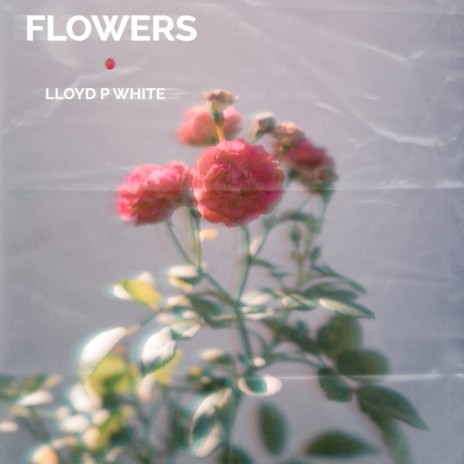 Flowers cover art
