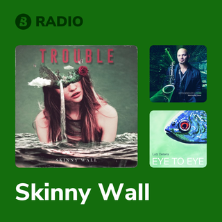Skinny Wall Radio