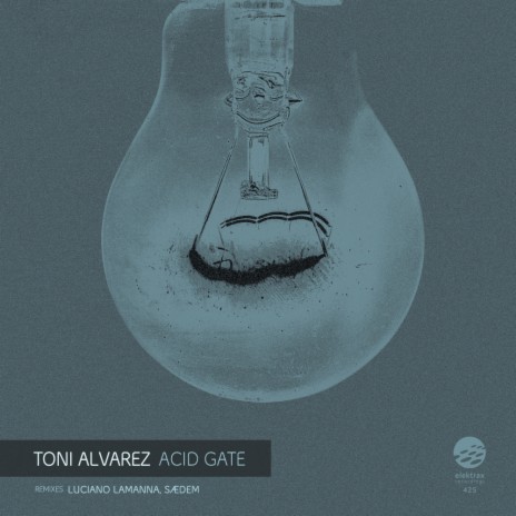 Acid Gate (Original Mix) cover art
