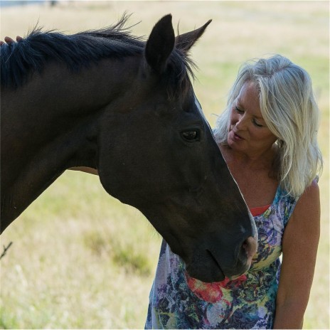 A Country Road and Horses cover art