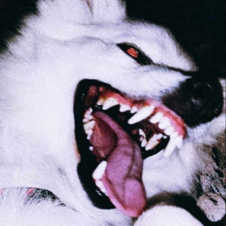 Wake Up cover art
