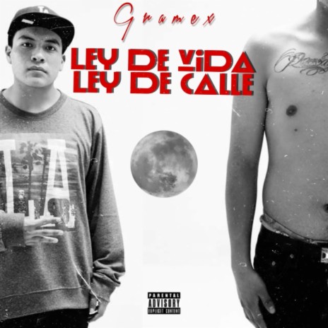 Ley de Vida Ley de Calle cover art
