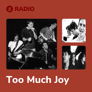 Too Much Joy Radio