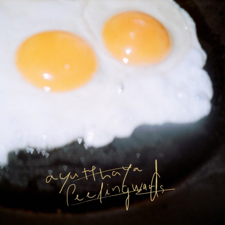 stay cover art