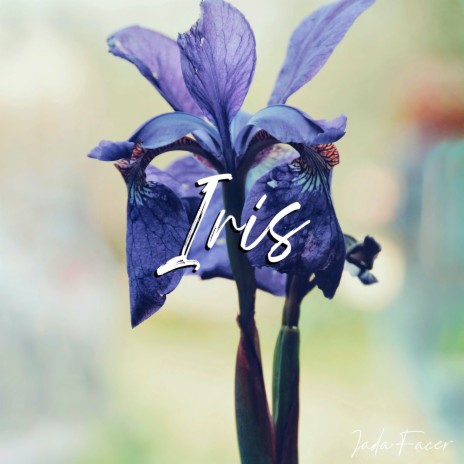 Iris cover art
