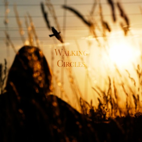 Walking Circles cover art