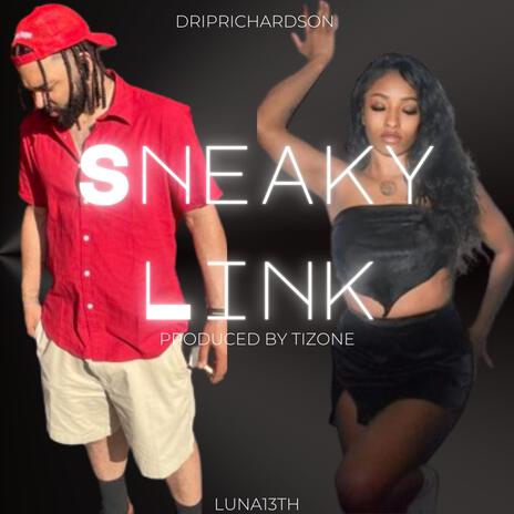Sneaky Link ft. LUNA13TH cover art