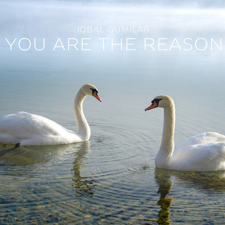 You Are the Reason cover art
