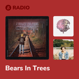 Bears In Trees Radio