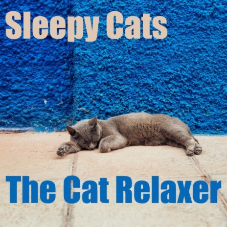 Sleeping Music for Cats