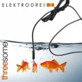 Rock it down (Original Mix)