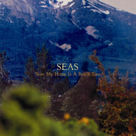 The Integral Accident cover art