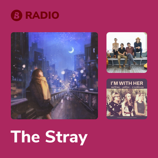 The Stray Radio
