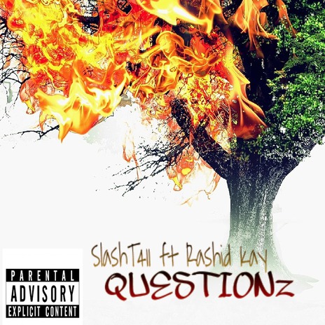 Questions ft. Rashid Kay cover art