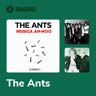 The Ants Radio