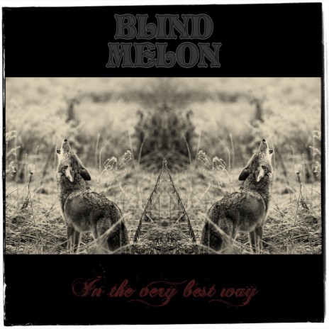 In the Very Best Way cover art