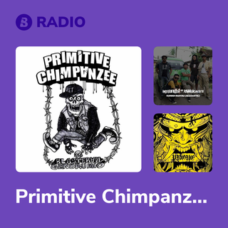 Primitive Chimpanzee Radio