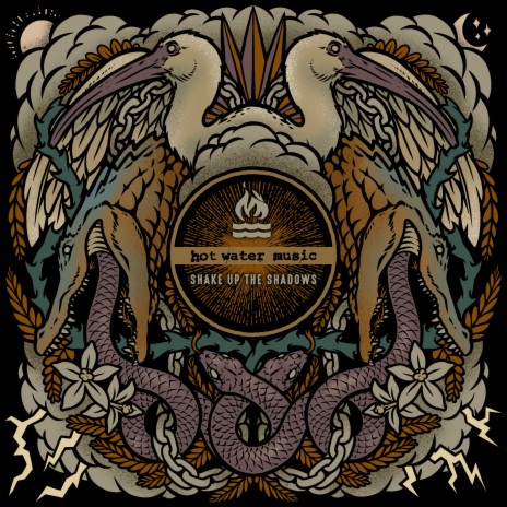 Shake Up The Shadows cover art