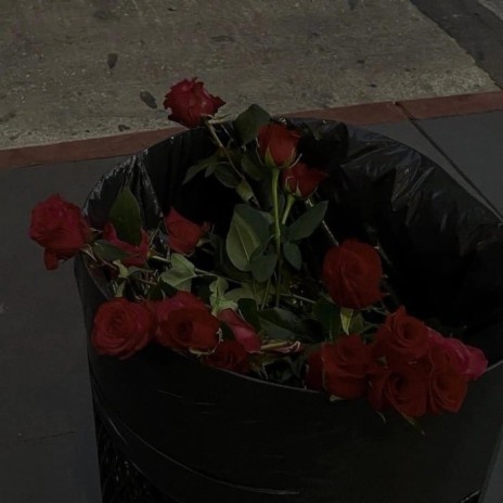 dead roses