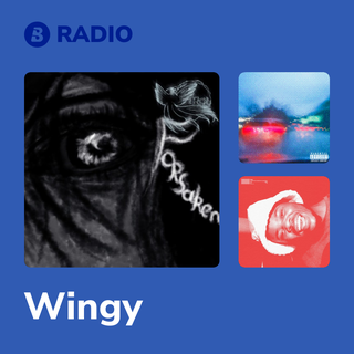 Wingy Radio