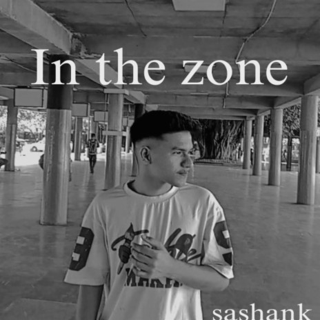 In the zone (Remix) cover art