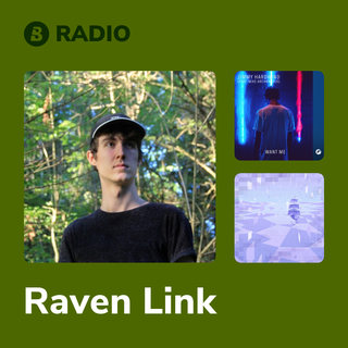 Raven Link Radio