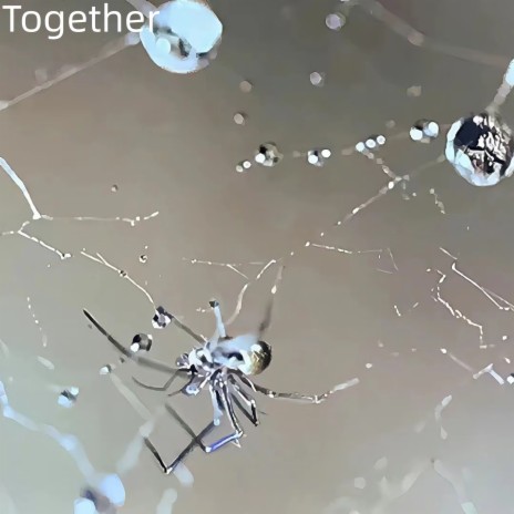 Together cover art