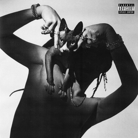 RSVP cover art