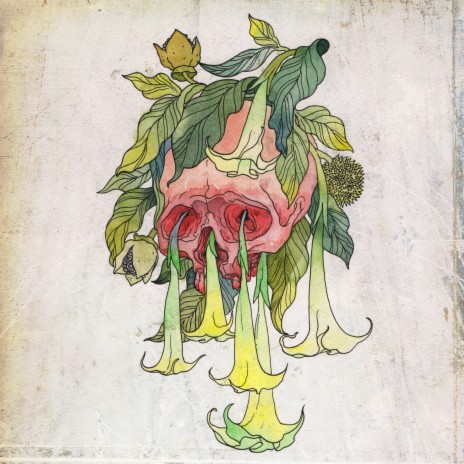 Steadfast