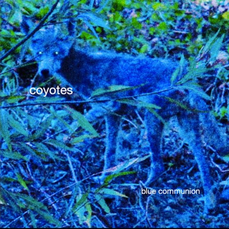 Last June cover art