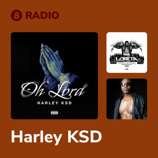 Harley KSD Radio