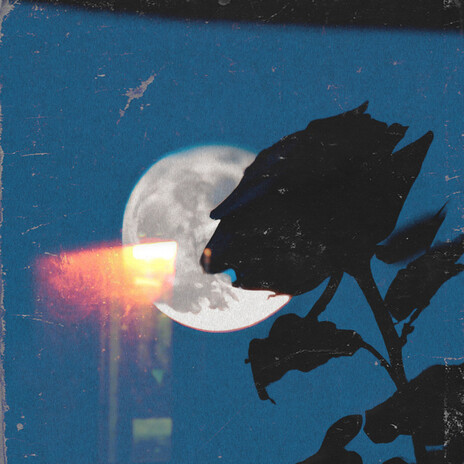 Nobody is there for me ft. Shiloh Dynasty cover art