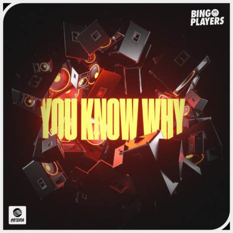 You Know Why cover art