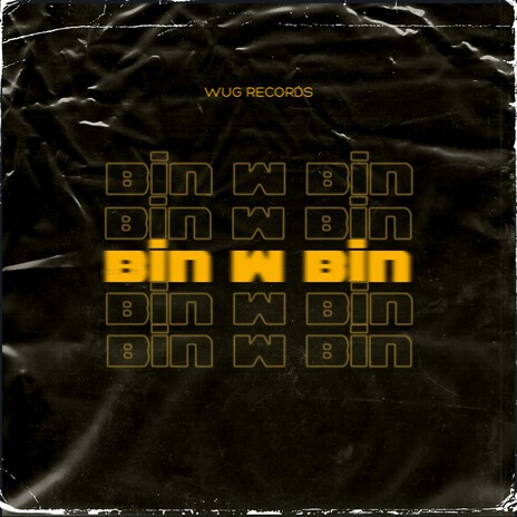 Bin w Bin cover art