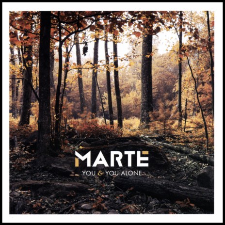 Persevere cover art