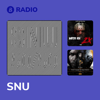 SNU Radio